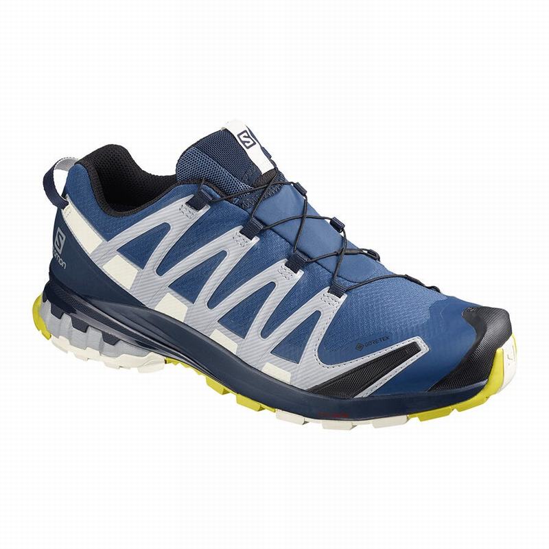 Chaussures De Randonnée Salomon Homme Bleu Marine - Salomon XA PRO 3D V8 GORE-TEX - France (6875-OVG